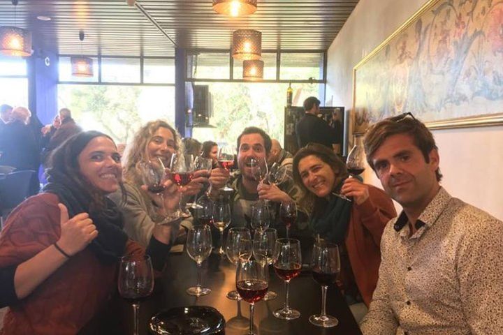 Full-Day Arrábida Wine Private Tour with Wine and Food Tasting image