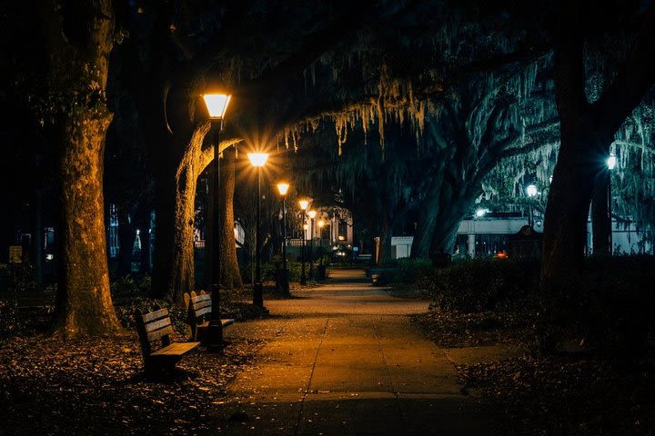 Epic Savannah Scavenger Hunt: Savannah Ghost Hunt! image