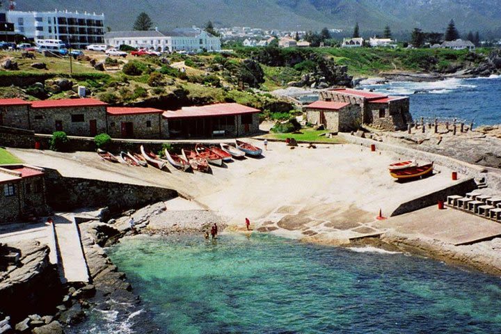 Hermanus Whale Coast Wine Tour image