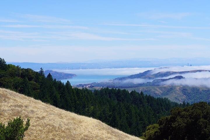 Summit Mt. Tamalpais image