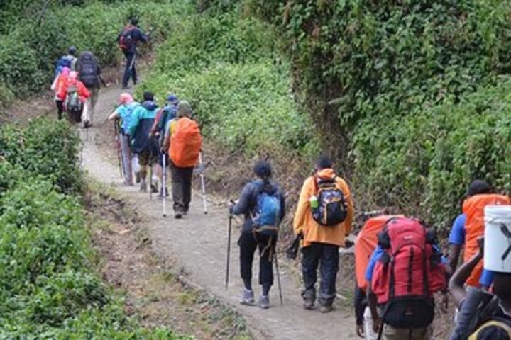  7 Days Trek In Mt. Kilimanjaro via Marangu Route image