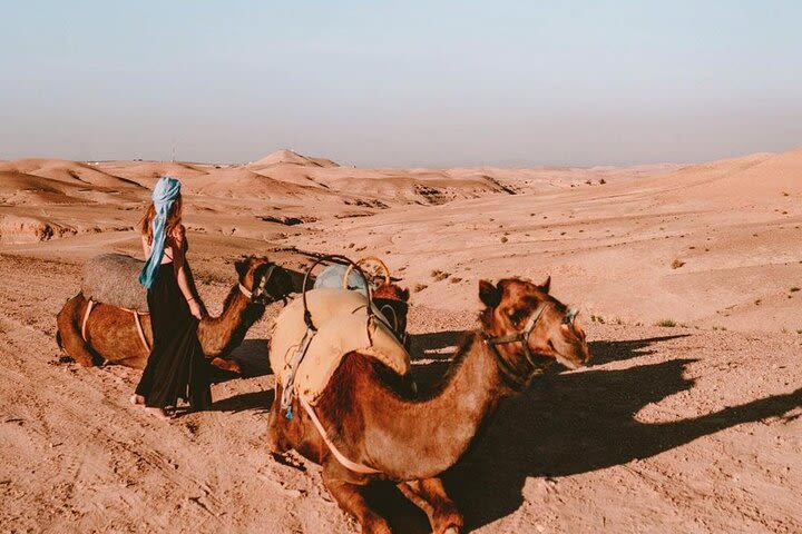  Agafay Desert & Sunset Camel Ride with Dinner From Marrakech image