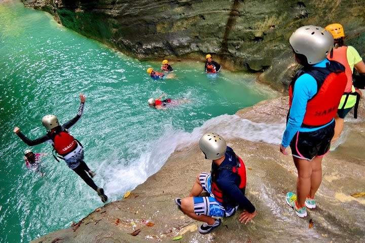 Whale Shark Encounter & Sumilon Sandbar & Canyoneering in Kawasan Falls image