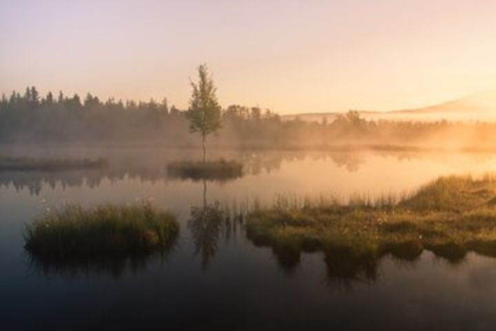 From Prague: Šumava National Park Adventure with Guide and Lunch image