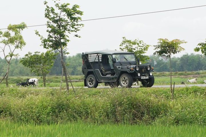 Tra Que Vegetable Village And Sunset Cruise On Thu Bon River  image