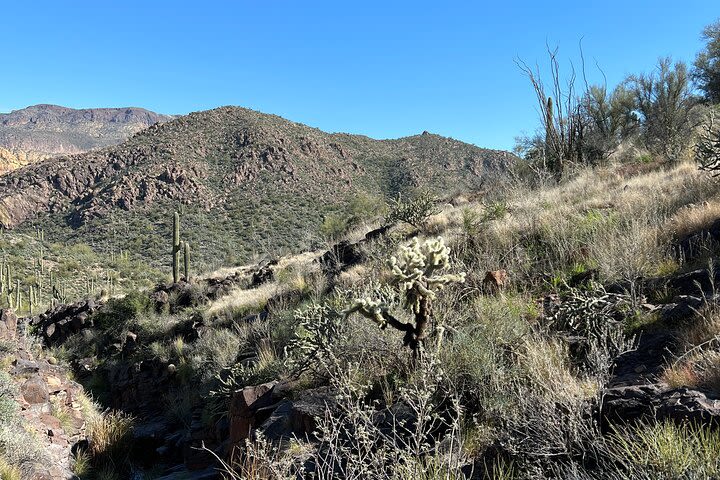 Guided Hike and Yoga Session at the Sonoran Desert image