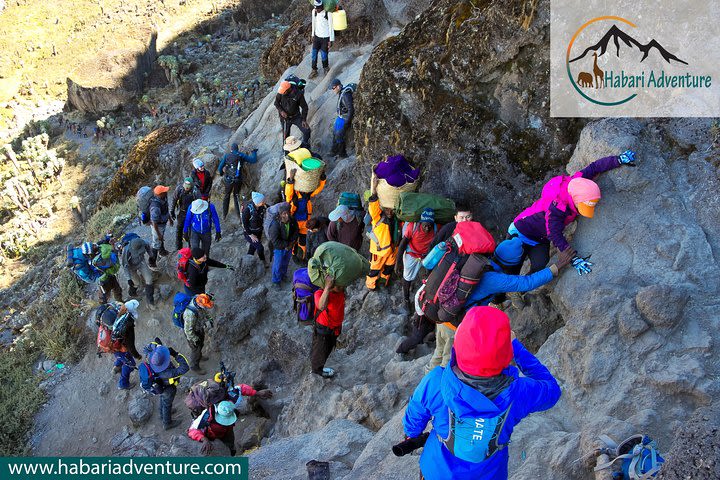 Kilimanjaro Climbing Umbwe Route image