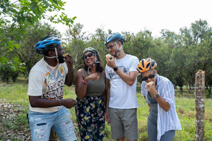 Electric Bike Ride & Appleton Tasting image
