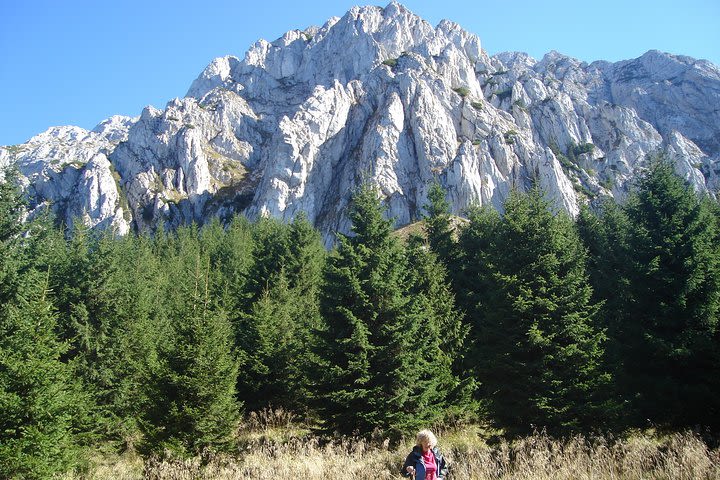 Day Hike in Carpathian Mountains for all levels in five areas image