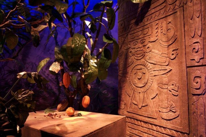 Winter Gruyères Chocolate & Cheese Tour image