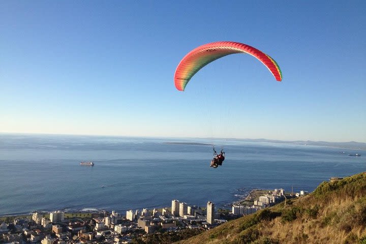 Cape Town 3-Day Attraction Tours: Paragliding, Cape Peninsula & Wine Tasting image