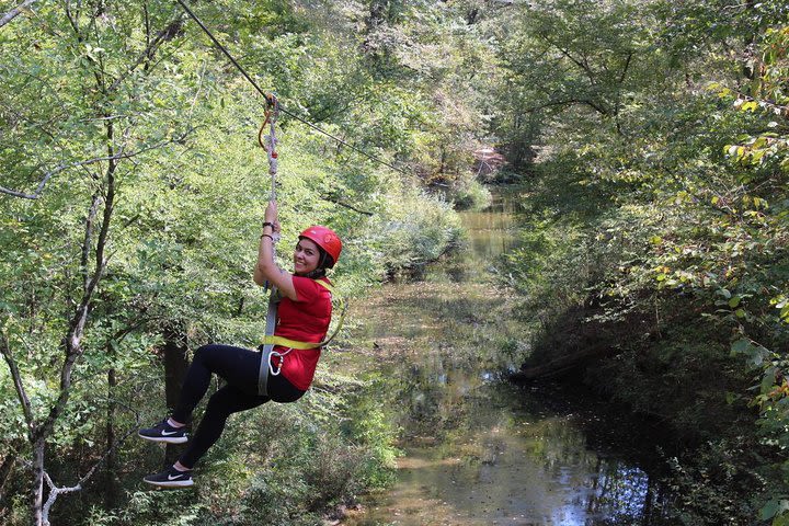 10 Zip Line Zip Tour (1.5 hours) image