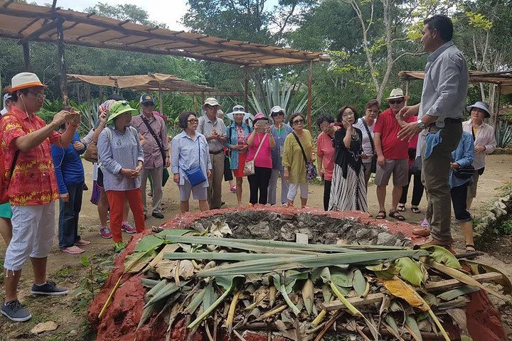 Mayan Village and Tequila Tour image