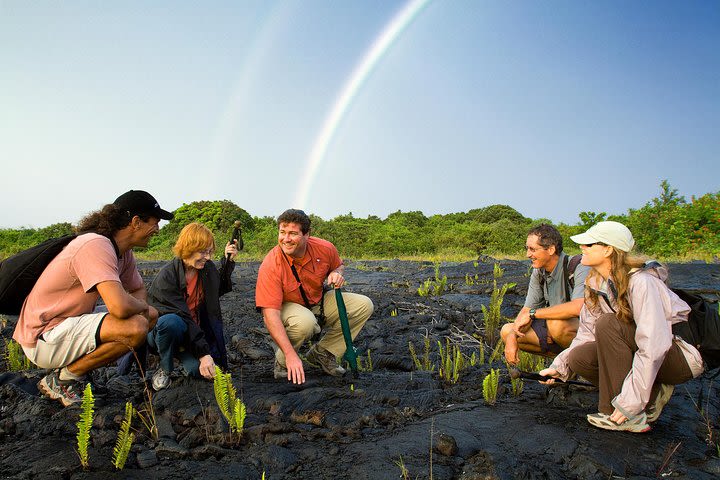 Volcano Unveiled Tour in Hawaii Volcanoes National Park image