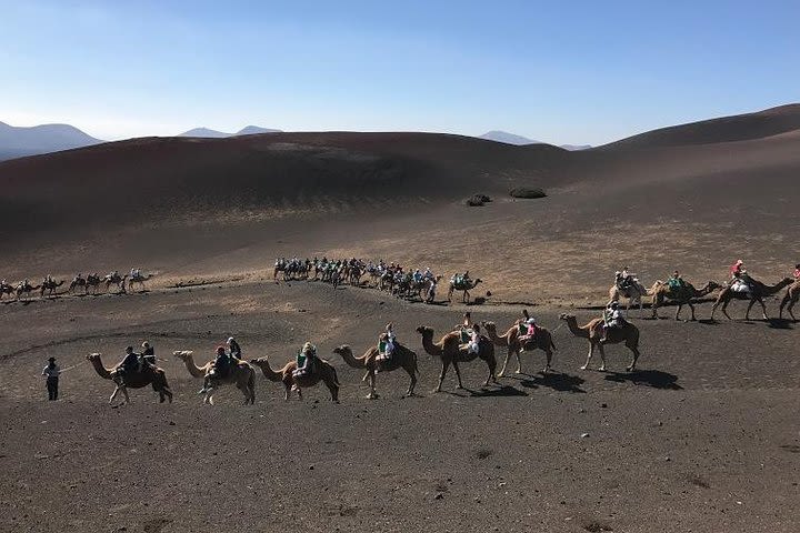 Timanfaya & Lanzarote Volcano Experience image