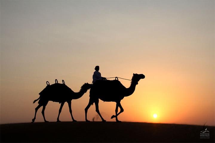 Dubai: Desert Safari with Camel Ride image