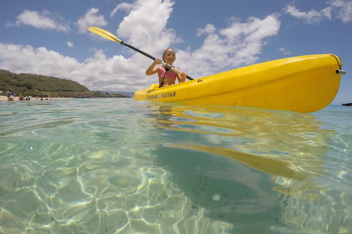 Full-Day North Shore Activities Tour from Oahu image