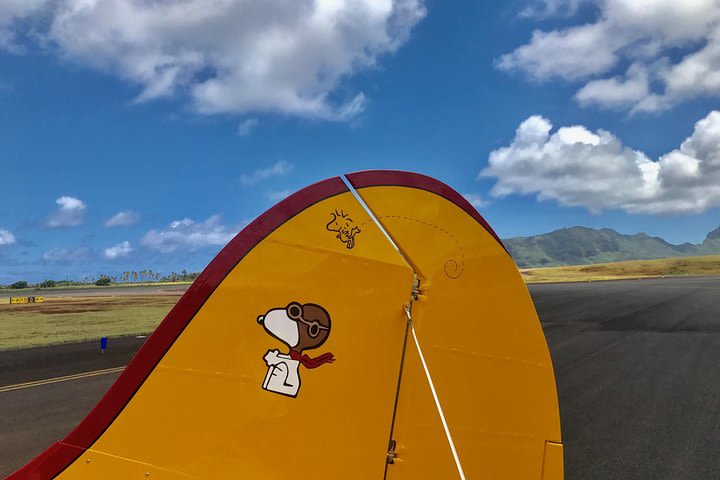 Vintage Biplane Tour of Kauai image