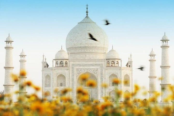 Sunrise Taj Mahal Tour image