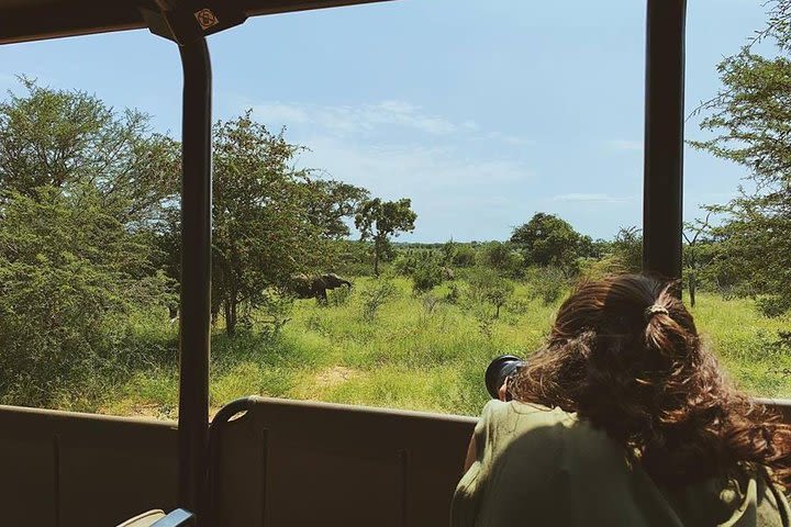 Kruger Park 2-day Safari from Maputo image