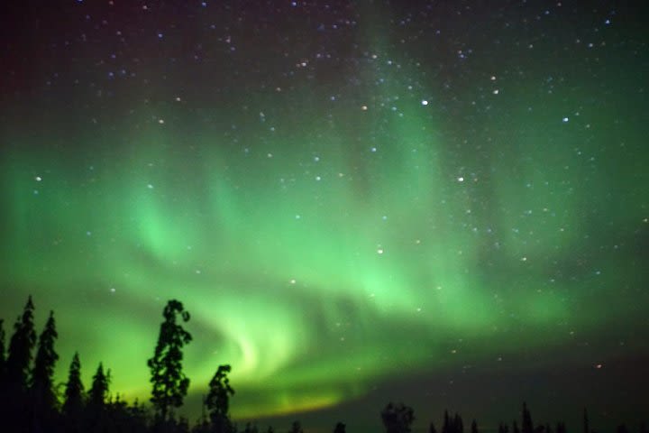 Northern Lights Hunt in a local Kota in Rovaniemi with Dinner image