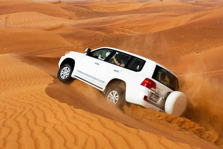 Dubai Desert Safari and Buffet Dinner with PRIVATE Transfer image