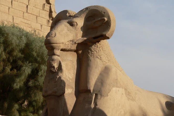 Karnak and Luxor temples ( private tour) image