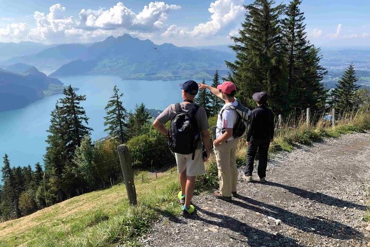 Private Guided Hike on Mt. Rigi with Farm Visit and BBQ  image