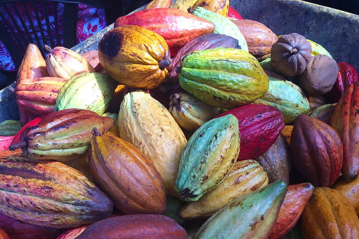 Chocolate and Cobblestones San Miguel De Allende Walking Tour image