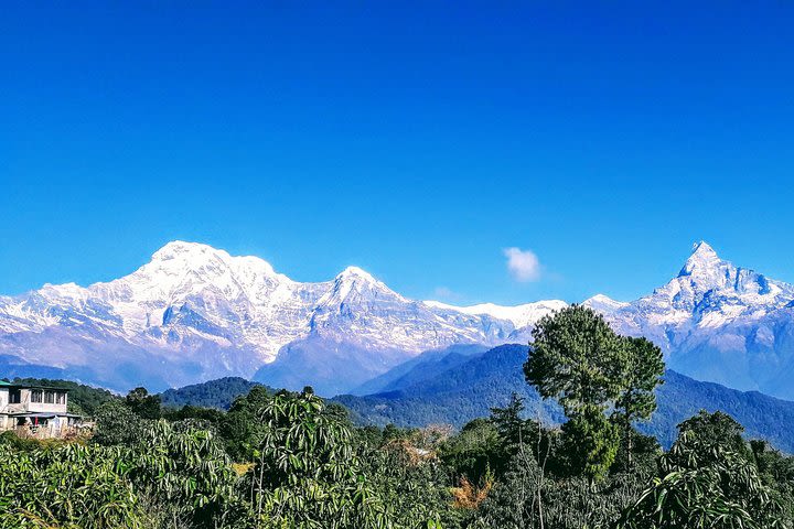 1 Day Hiking Austrian Camp & Dhampus image