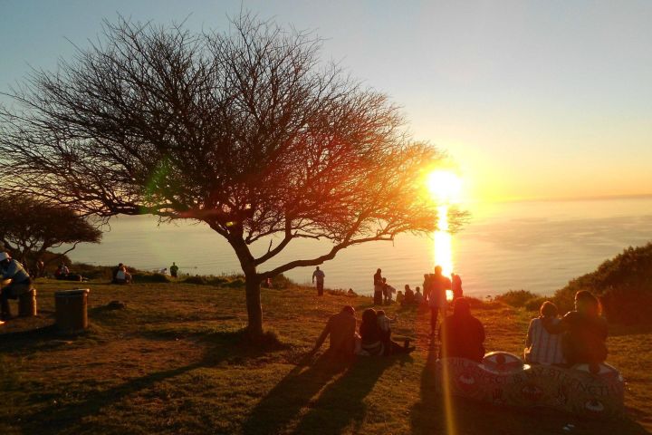 Cape Town Summer Sunset Bus Tour image