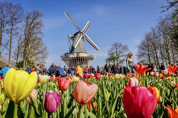 Small Public Tour to Keukenhof Gardens from Amsterdam image