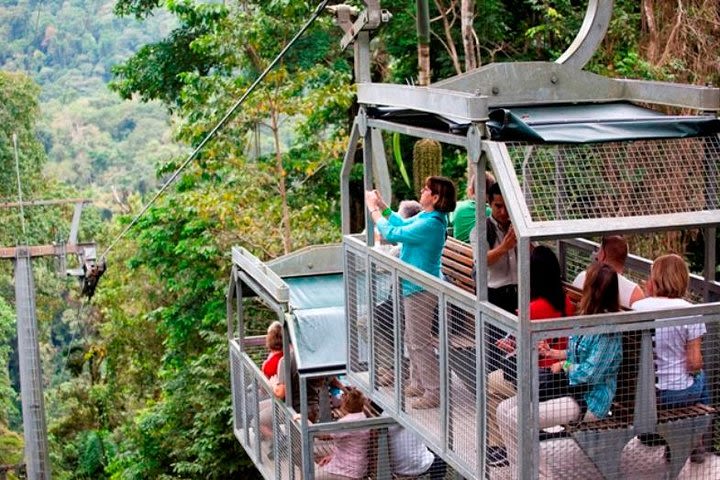 Shore Excursion: Aerial Tram Ride and Trail Tour image