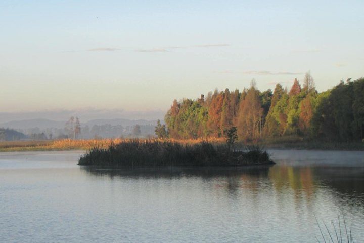 Birdwatching & Nature Day. Florida Wetland, El Tabacal Lagoon & Enchanted Garden image