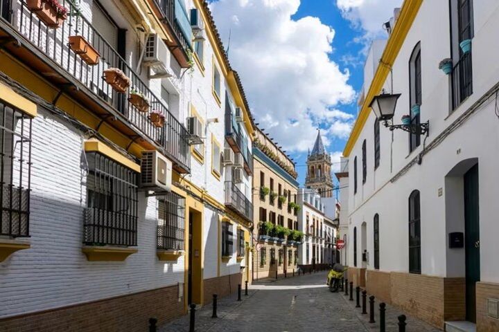 Metropol Parasol and Triana Neighborhood Tour image