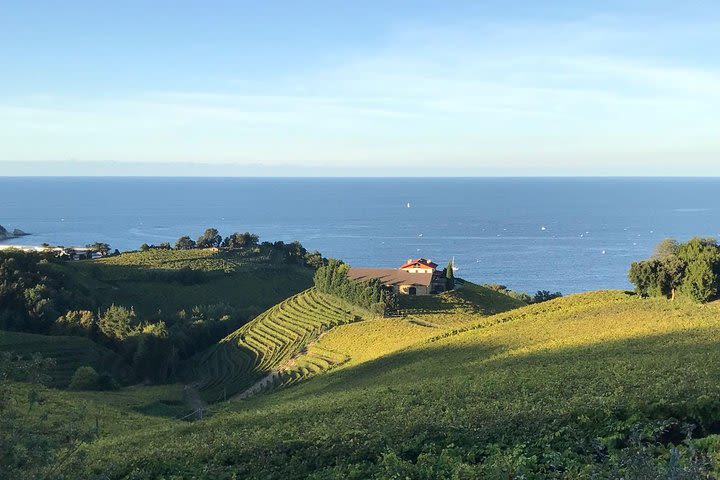 Txakoli Winery Tour through the Coast from San Sebastian image