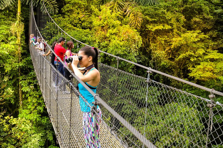 Birdwatching Tour at Mistico Arenal Hanging Bridges Park image