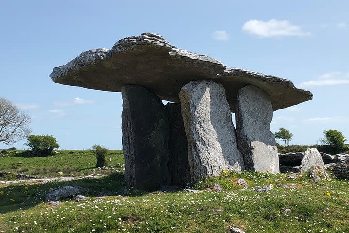 Cliffs of Moher Private Tour from Killarney image