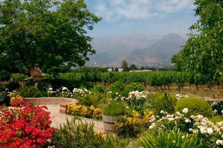 Private Maipo Valley Boutique Wine Tour: Haras de Pirque and Aquitania Vineyards image