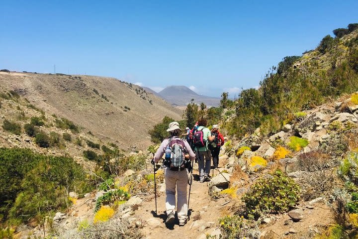 Half-Day Botanical Cliff Hike in Haria image