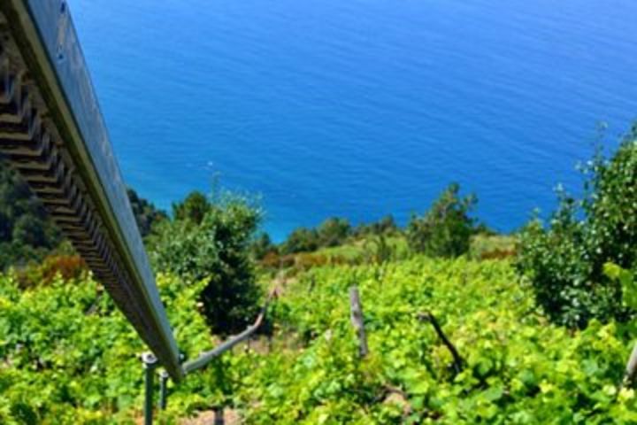 Private Cinque Terre Villages and Vineyards  image