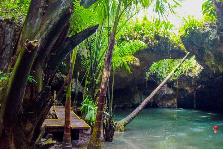 Mayan Jungle Jeep to Jade Cavern Cenote and Snorkel Adventure image