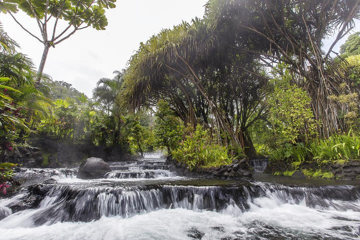 Day Trip from San Jose to Tabacon Hot Springs Resort & Spa image