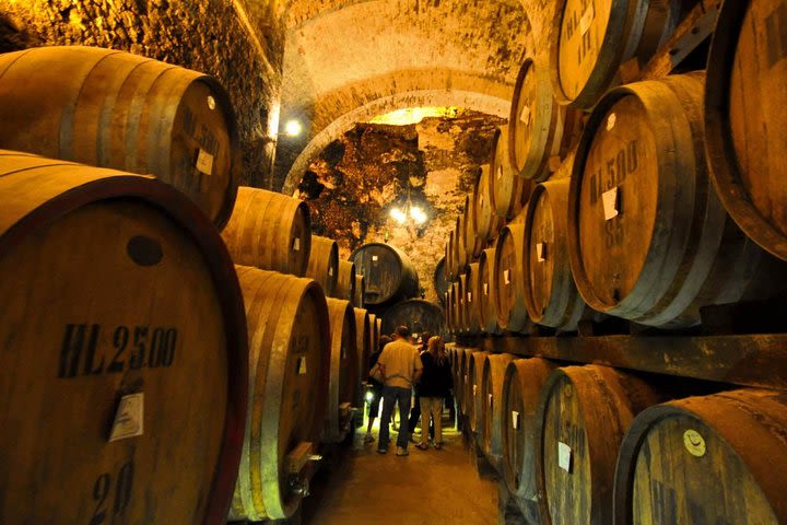 Tenuta Torciano Wine Tour in Tuscany - visit two wineries and San Gimignano image