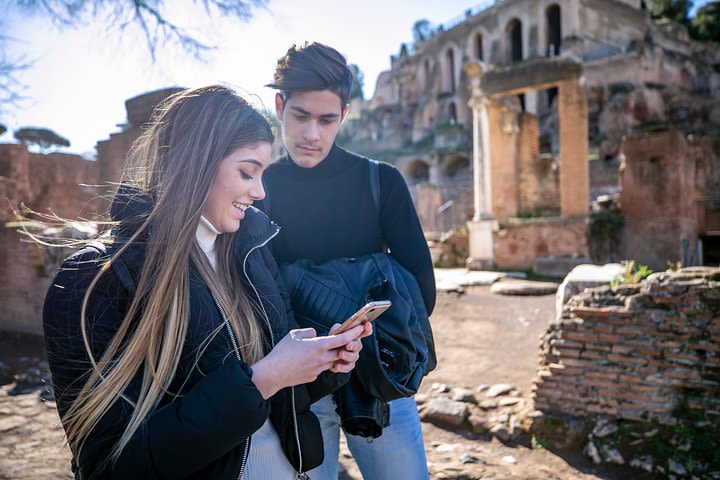 Skip the line Colosseum Roman Forum & Palatine Hill Tour with a Local Guide  image