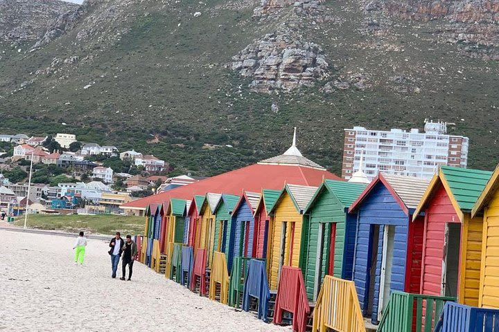 Seal Island Private tour with Penguins, Cape Point & Table Mountain. image