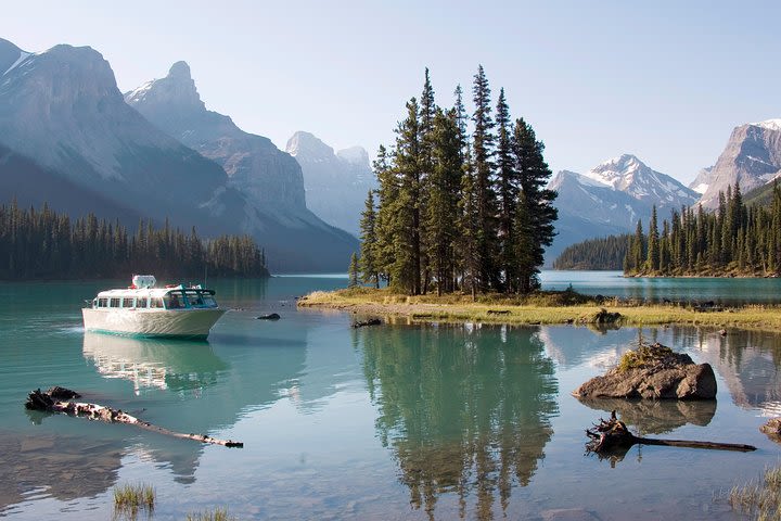 5.5-Hour Jasper Wildlife and Waterfalls Tour with Maligne Lake Cruise from Jasper image