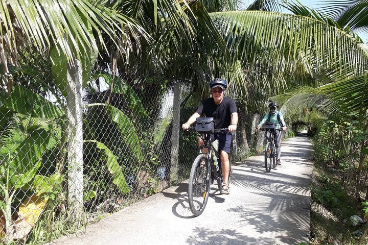 Full-Day Mekong Delta Bike Tour from Ho Chi Minh City image