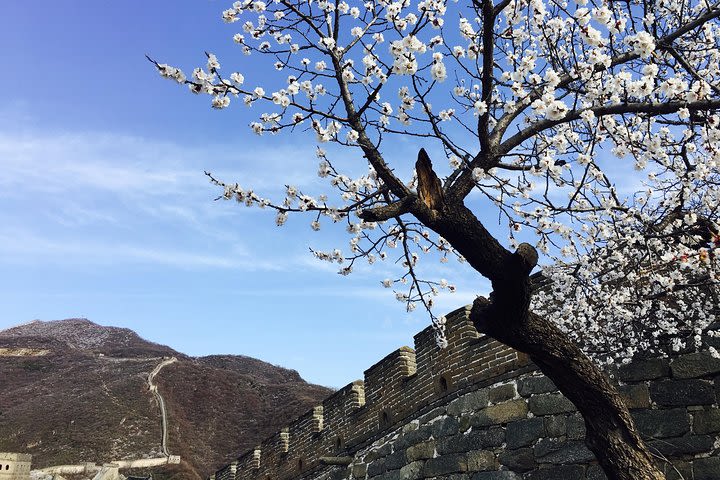 Emperors Masterpieces of the Forbidden City and Great Wall Tour image