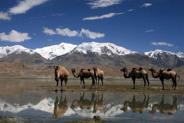 Pamir Highway image